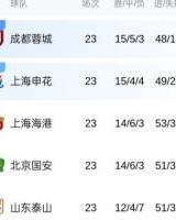 榜首易主or分差拉大？中超前四今天全部出战，第1到第4只差2分