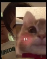 开云-女网友晒与王俊杰遮脸合照评论区沦陷 网友猜测是其女友但被否认